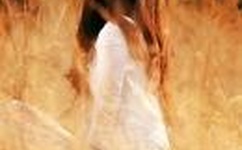 沈青鸾风璃宸神医弃妃